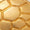 Gold Swatch