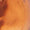 Tan Swatch