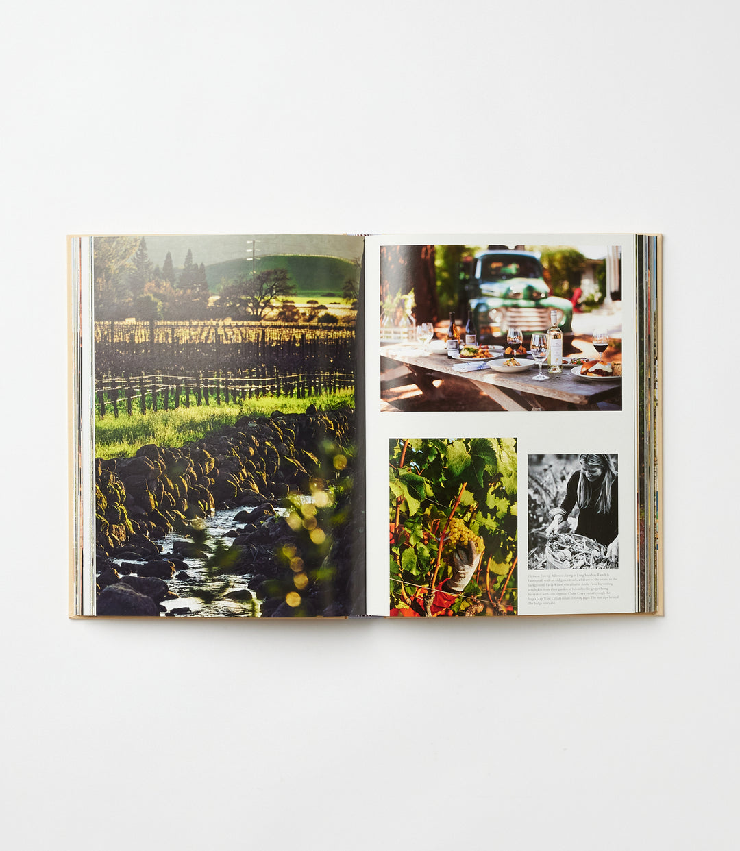 Wine & Travel: United States Of America