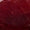 Red Swatch