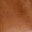 Tan Swatch