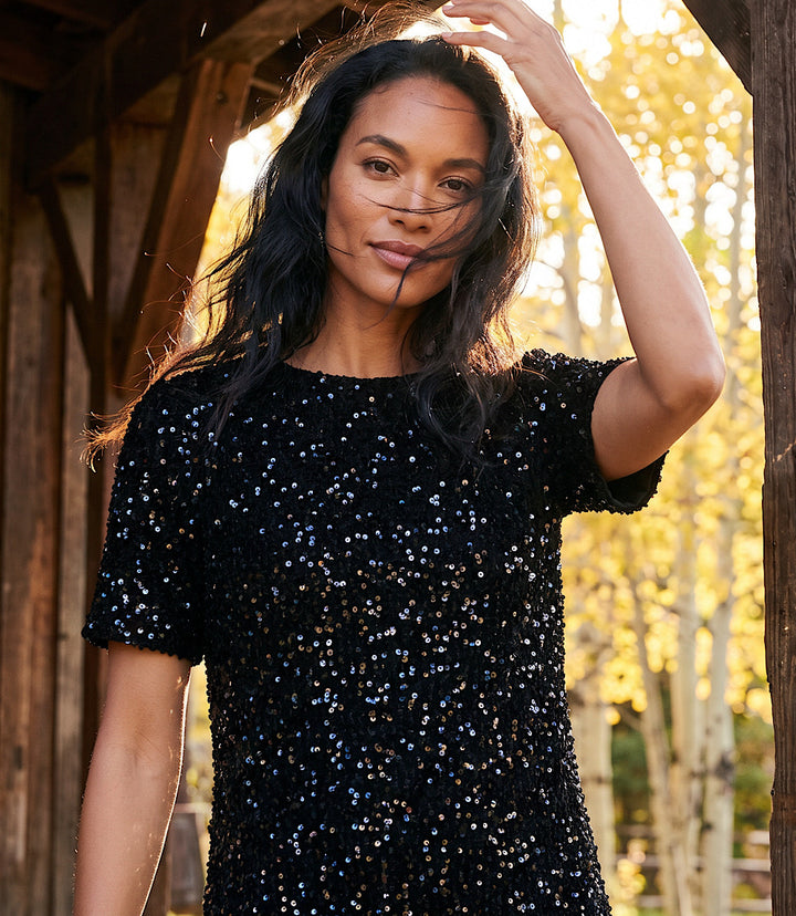 Velvet Sequin Short Sleeve Dress