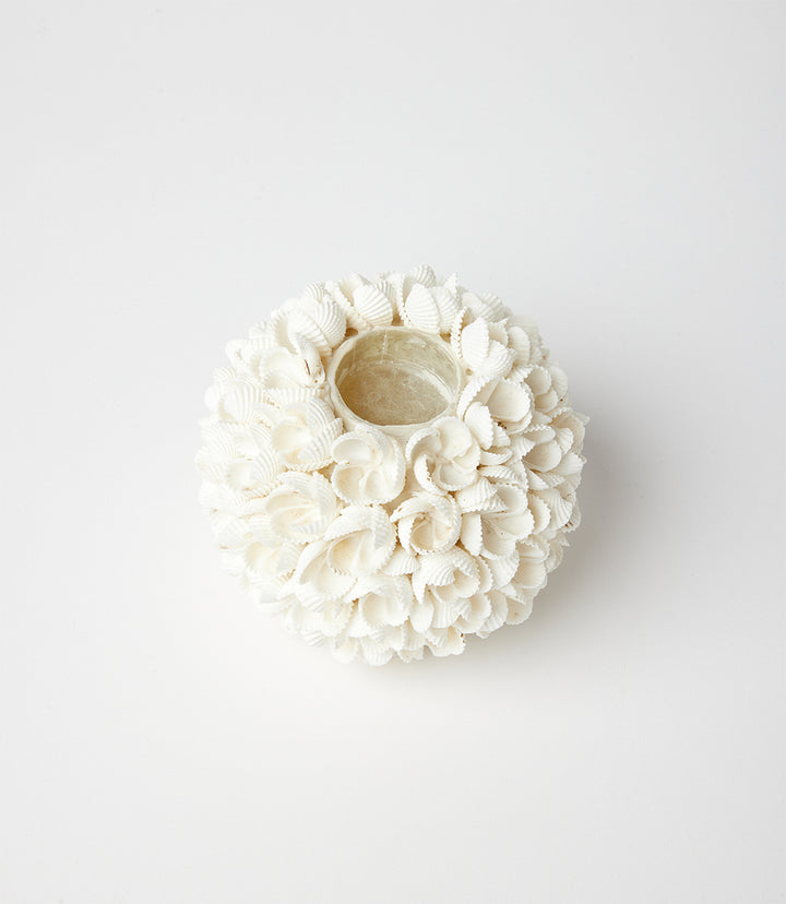 Oahu Seashell Candleholder