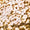 Gold Swatch