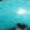 Turquoise Swatch