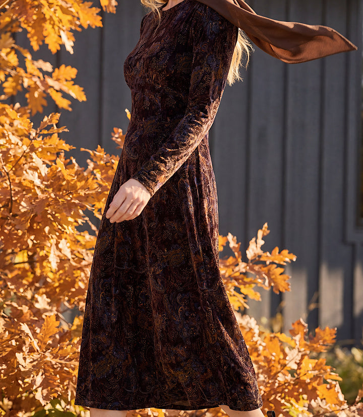 Long Sleeve Velvet Burnout Midi Dress