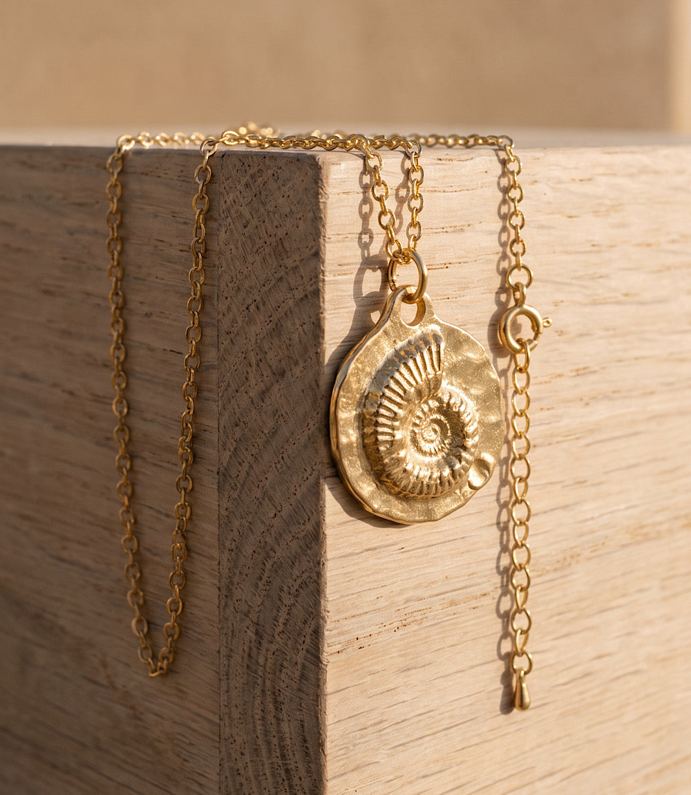 Sea Shell Charm Necklace