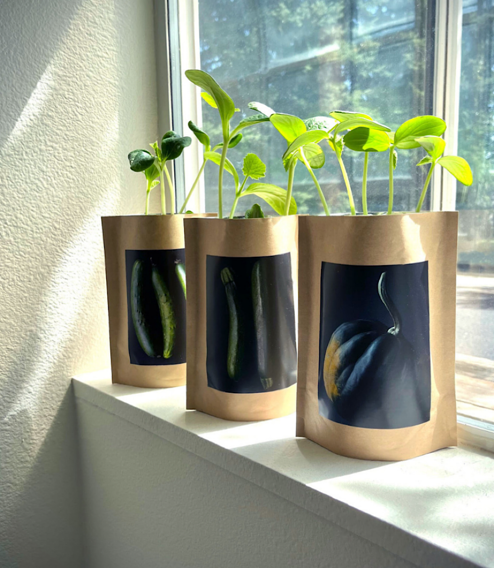 Home Garden Gift Box