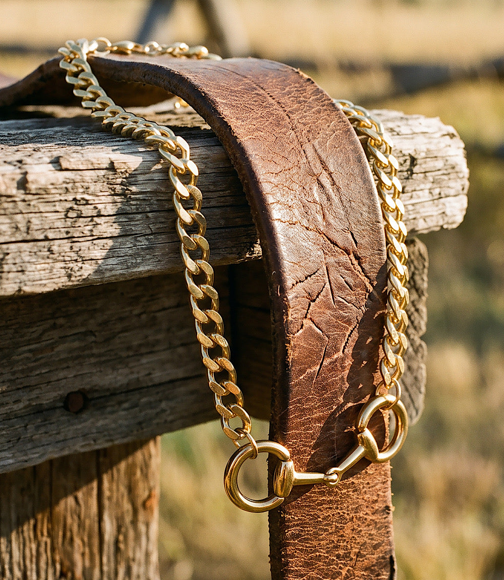 Chainlink Collar Necklace