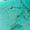 Turquoise Swatch
