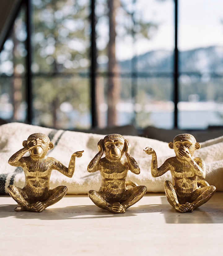 Hear No Evil, See No Evil, Speak No Evil Monkeys