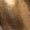 Gold Swatch