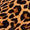 Leopard Swatch