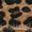 Leopard Swatch