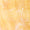 Conch Shell Swatch