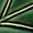 Green Swatch