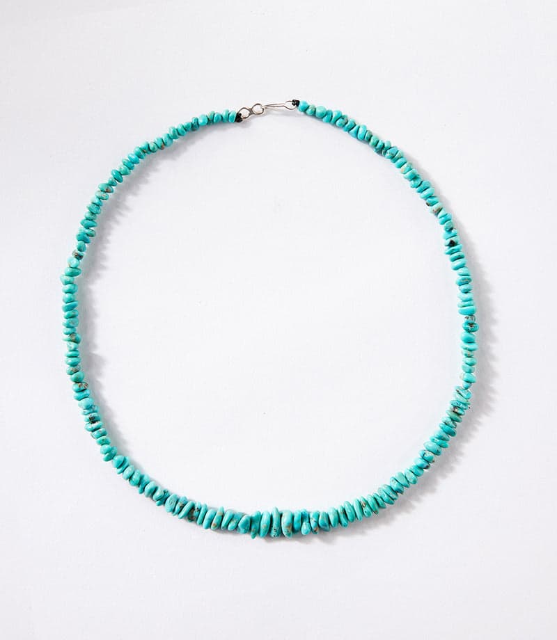 Single Strand Fox Turquoise Necklace