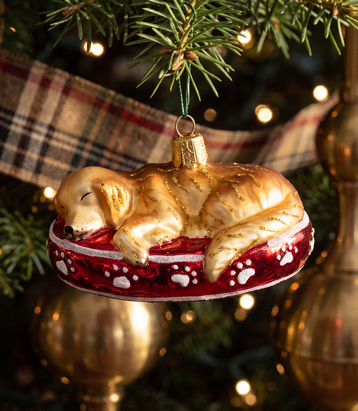 Sleepy Golden Retriever Glass Ornament