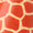 Giraffe Swatch