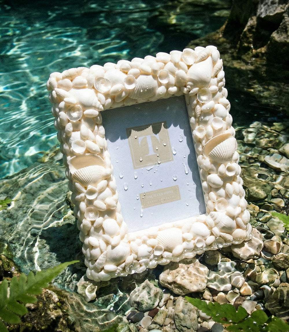 Natural sea shell photo frame with coastal charm for 5x7 pictures