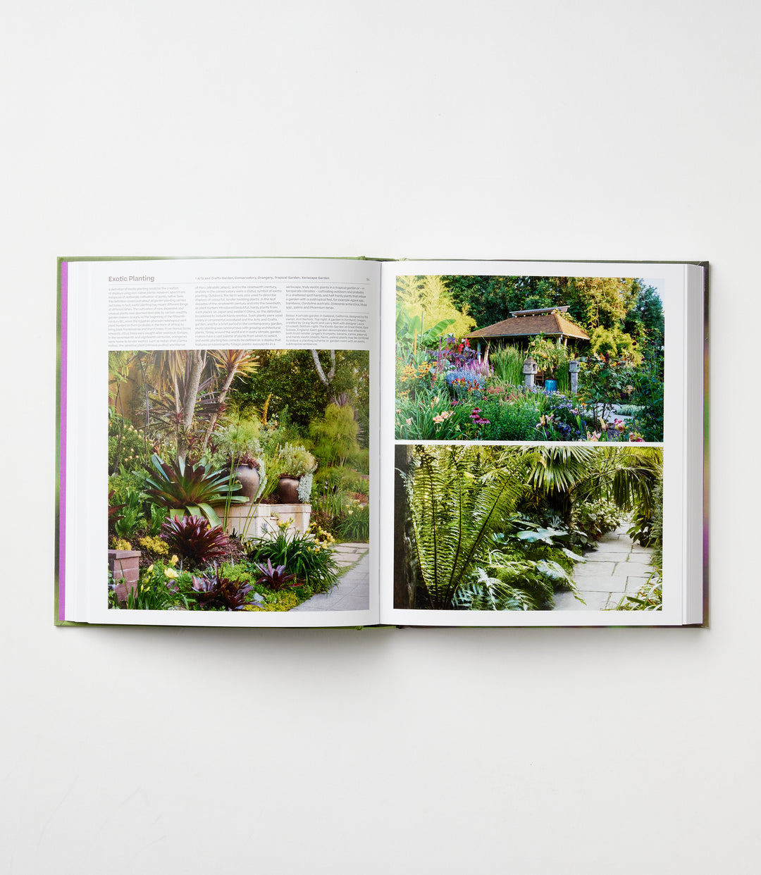 The Garden: Elements And Style