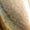 Gold Swatch