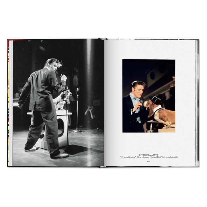 Alfred Wertheimer. Elvis and the Birth of Rock and Roll (English)