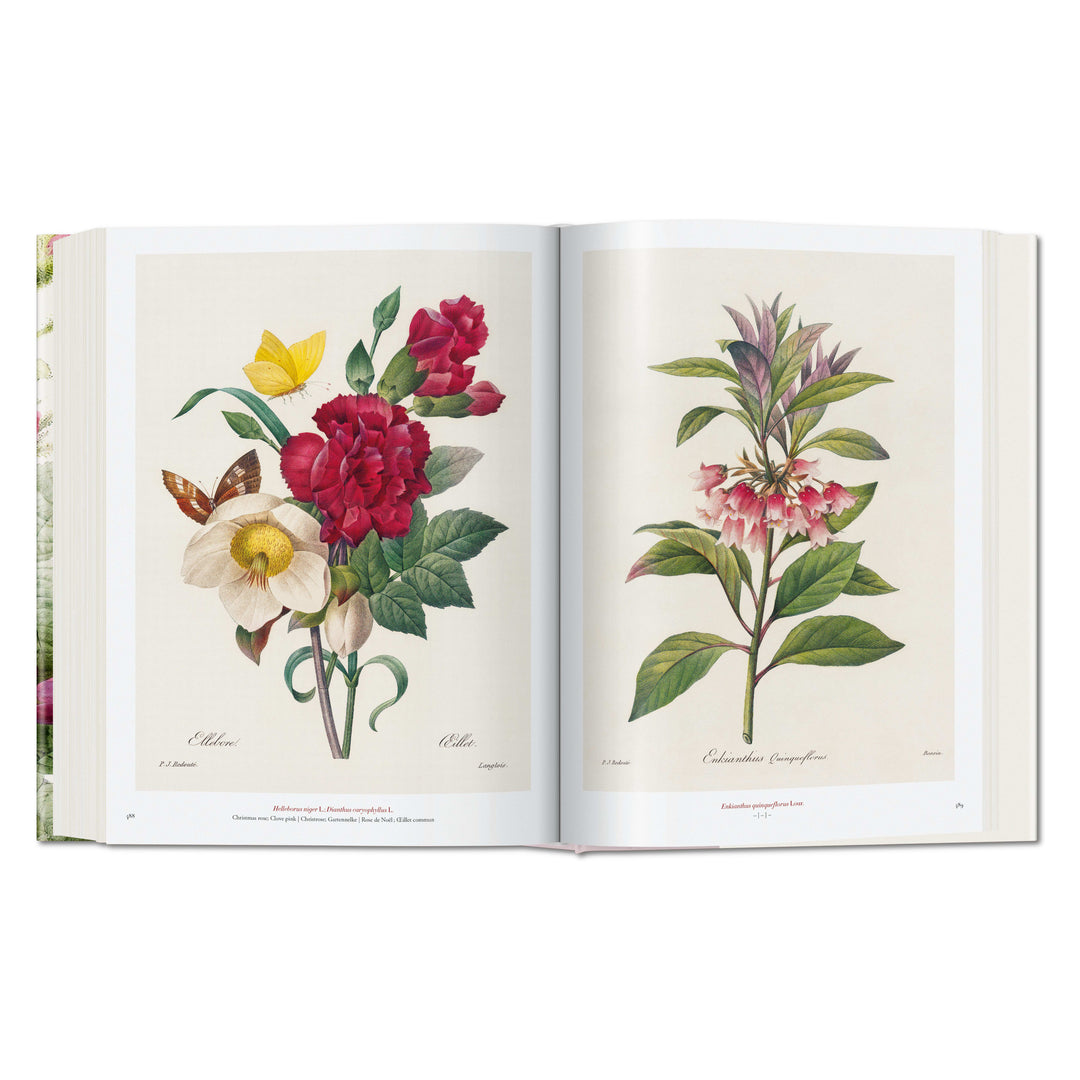 Redouté: The Book of Flowers