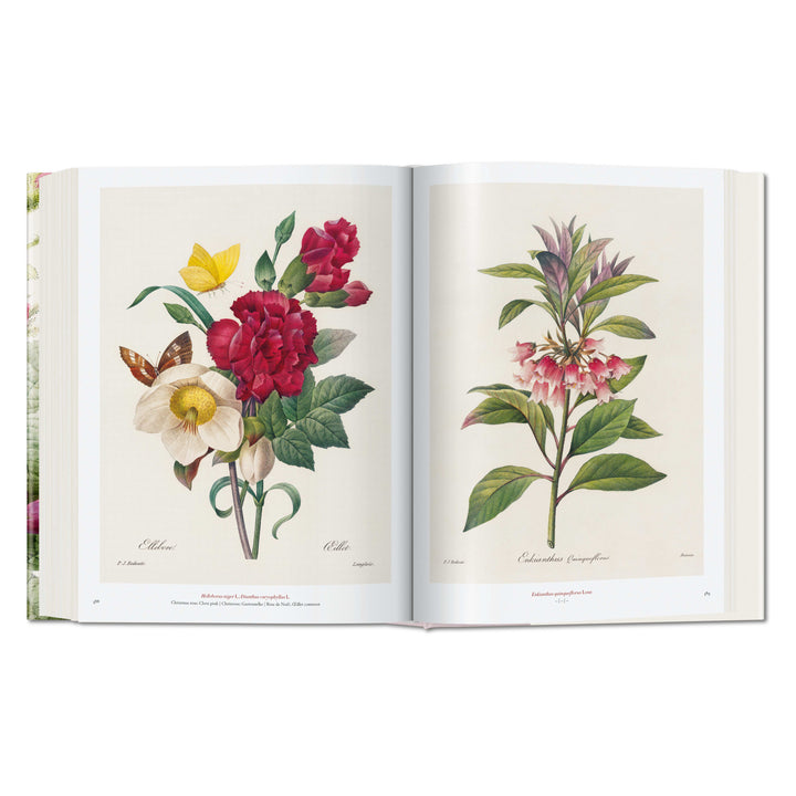 Redouté: The Book of Flowers