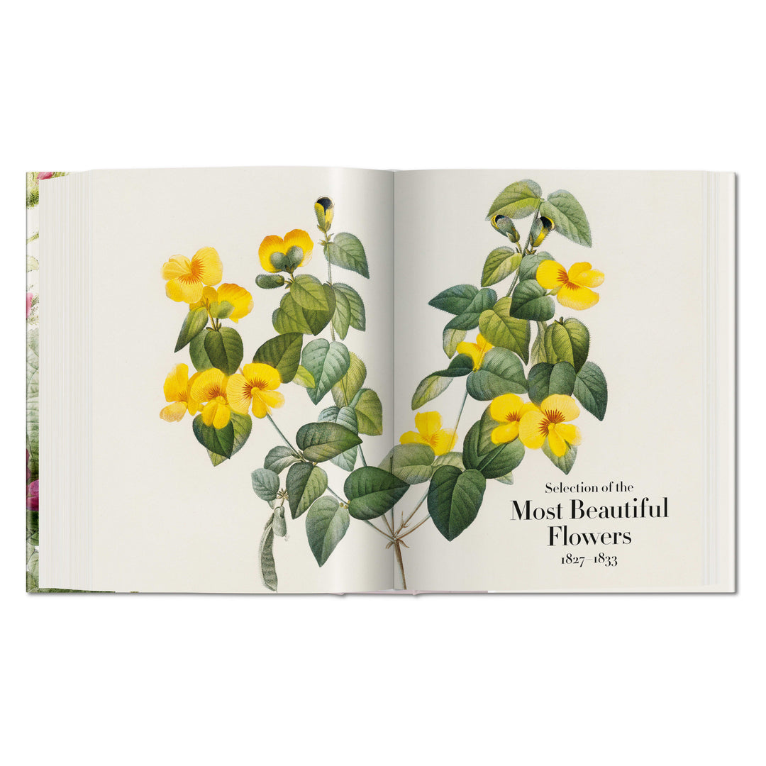 Redouté: The Book of Flowers