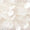 Ivory Swatch
