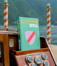 Scenic view of Lake Como with charming towns and lush greenery along alpine shores