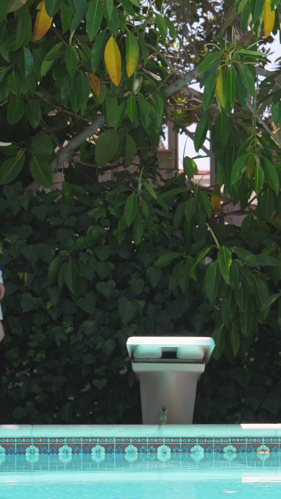 Pointelle Zigzag Sweater