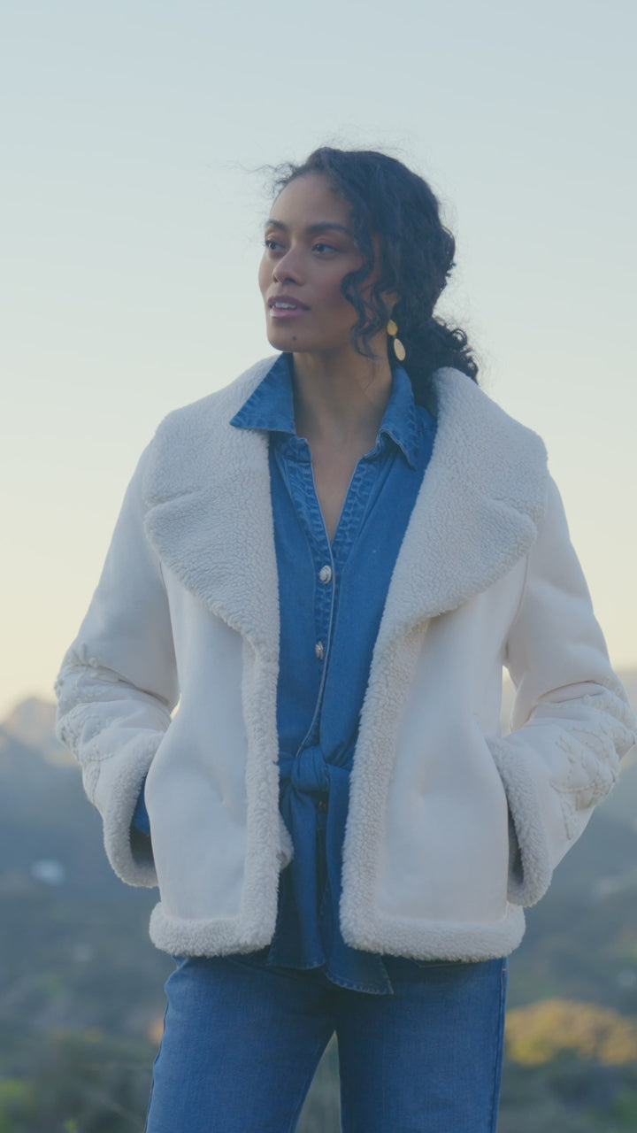Faux Suede Embroidered Sleeve Shearling Coat