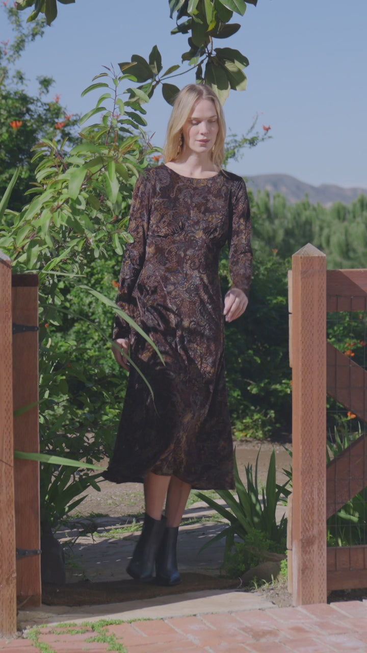 Long Sleeve Velvet Burnout Midi Dress